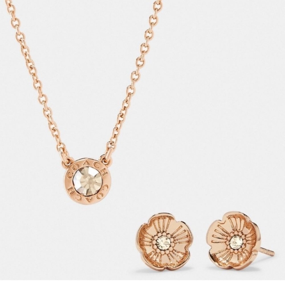 Rose gold Coach necklace and earring set ▪️